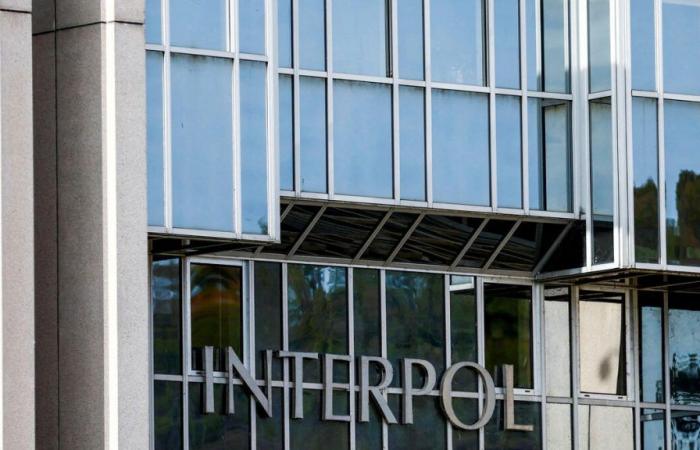 Fraude en línea: 4.000 detenciones y 257 millones de dólares incautados en 61 países, anuncia Interpol