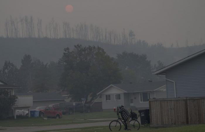 Los incendios forestales de 2023 liberaron más CO2 a la atmósfera que los aviones