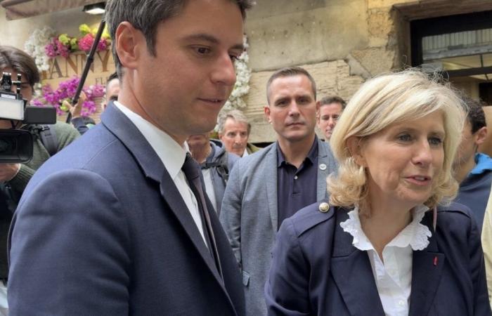 Entrevista. Elecciones legislativas en Alençon-Domfront: cuatro preguntas para Patricia Chapelotte