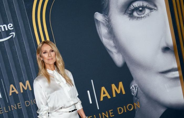Los fanáticos de Celine Dion están devastados por el sufrimiento de su ídolo