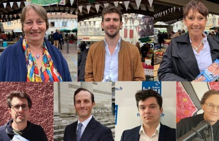 Elecciones legislativas en Dordoña: quiénes son los candidatos a diputados por Périgueux y el valle de Isle
