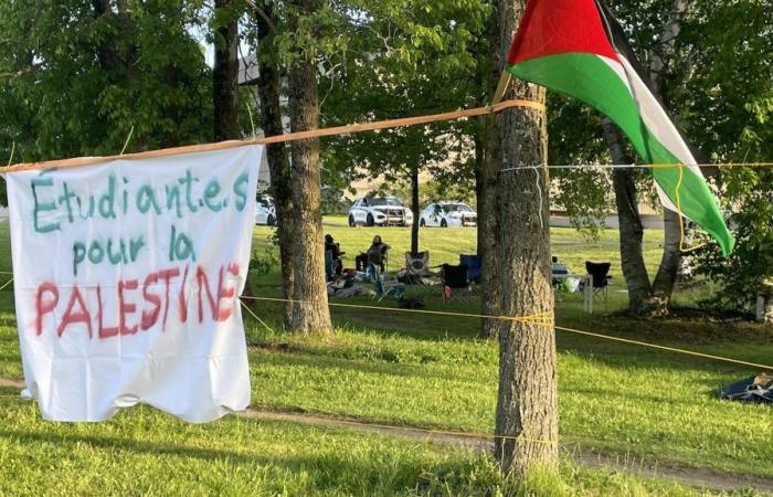 Campamentos en su campus: la Universidad Laval no es dueña de su propia casa