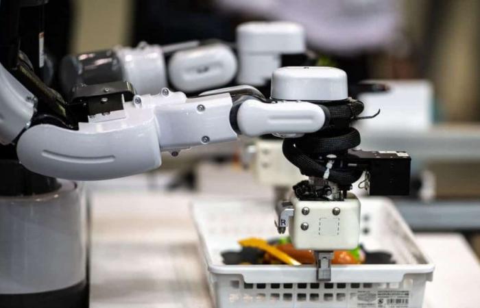 Japón: los científicos recrean una “sonrisa natural” en robots