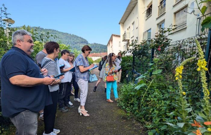 El jurado del 75º concurso floral de Saint-Dié-des-Vosges realizó su gira de evaluación