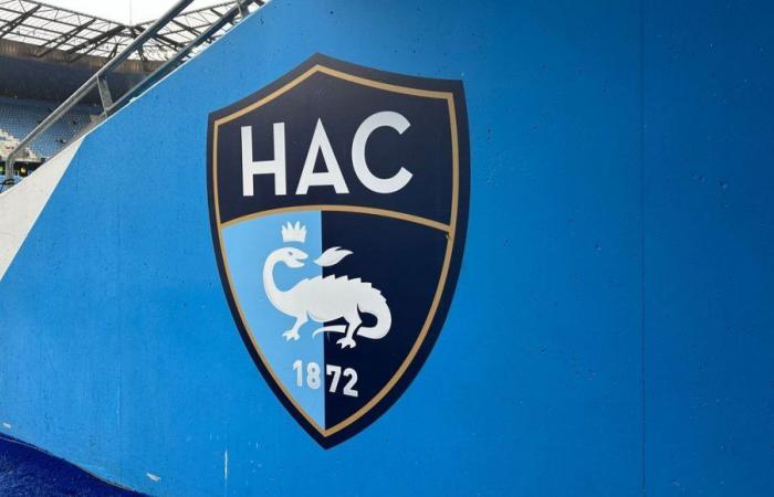 Ligue 1: la policía financiera del fútbol impone un control sobre la nómina del Le Havre AC