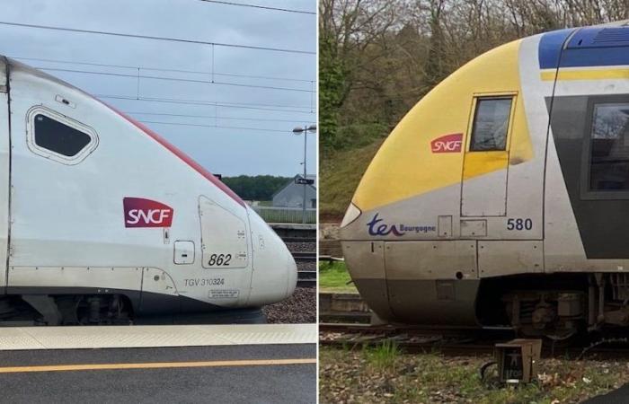 Interconexión TER-TGV: David Marti incorpora a Pierre-Etienne Graffard al contrato del plan