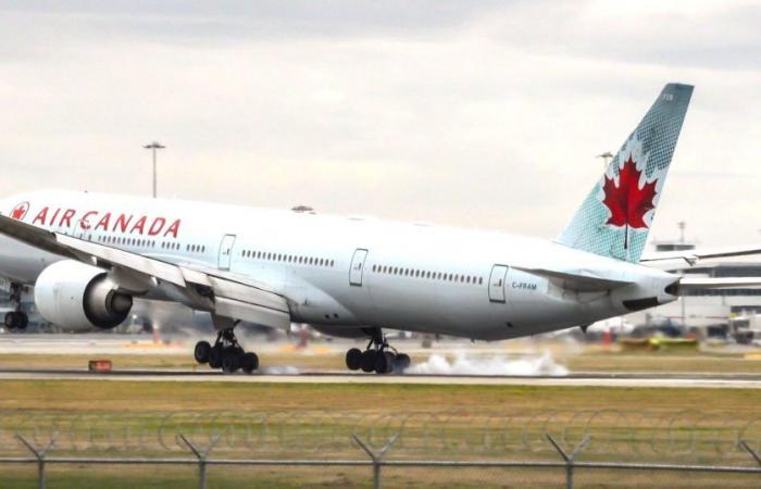 Air Canada: nuevas ofertas soleadas para el invierno 2024-2025