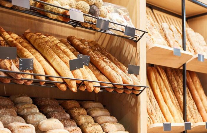 Panadería – ¿Dónde comprar tu baguette al mejor precio? – Noticias