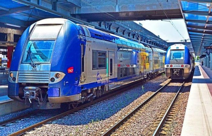 Oferta ferroviaria: el proyecto de servicio rápido regional Lorena-Luxemburgo se hace realidad