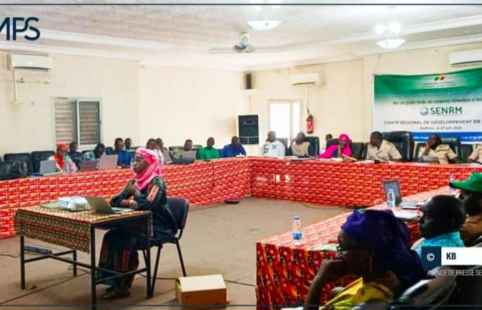 SENEGAL-MEDIO AMBIENTE / Sédhiou: hacia el desarrollo de dos bosques y la creación de 15 proyectos generadores de ingresos – agencia de prensa senegalesa