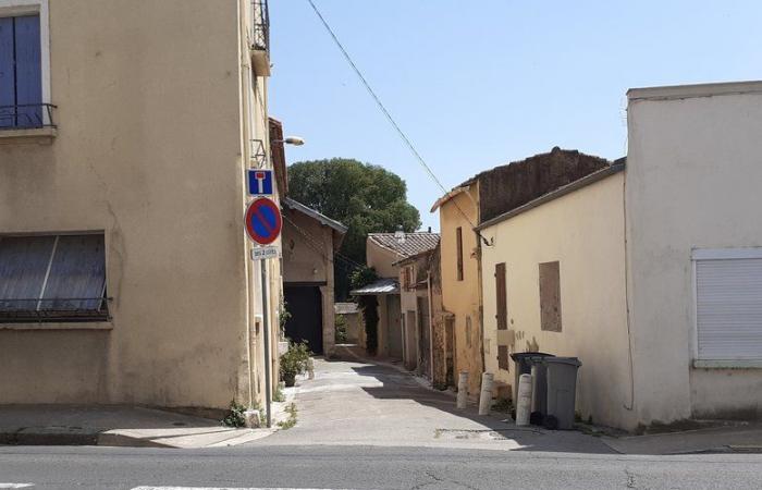 Saint-André-de-Sangonis: las pulgas dificultan la vida a los habitantes del Impasse Ravanières