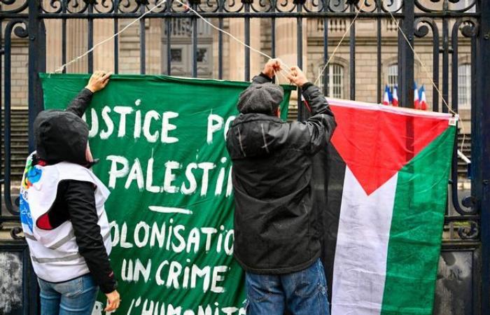 “Alto el fuego inmediato y definitivo en Gaza”: nueva convocatoria para una manifestación este sábado en Bourges