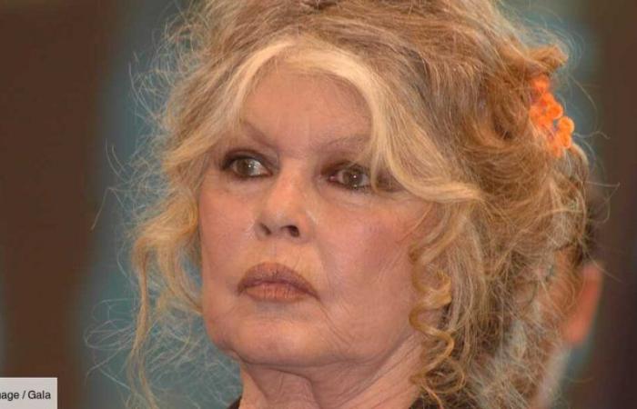 Brigitte Bardot sin filtro sobre su soledad: “Pasé años oscuros y duros”