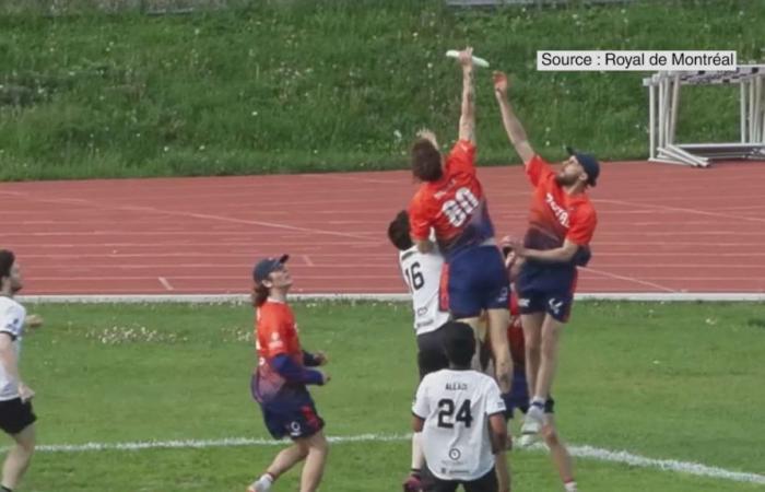 Ultimate Frisbee: el equipo profesional de Montreal jugará en Gatineau