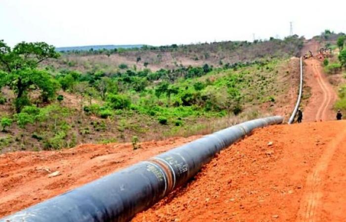 La UE está interesada en el gasoducto Nigeria-Níger-Argelia (Piebalgs)