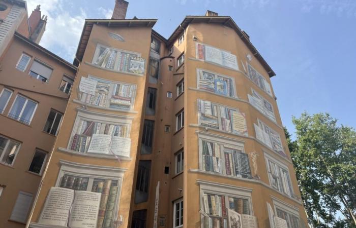 La ciudad de Lyon ha votado a favor de un sistema de apoyo para 26 paredes pintadas seleccionadas