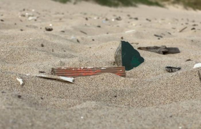 La playa de Blériot se limpia de residuos durante el verano