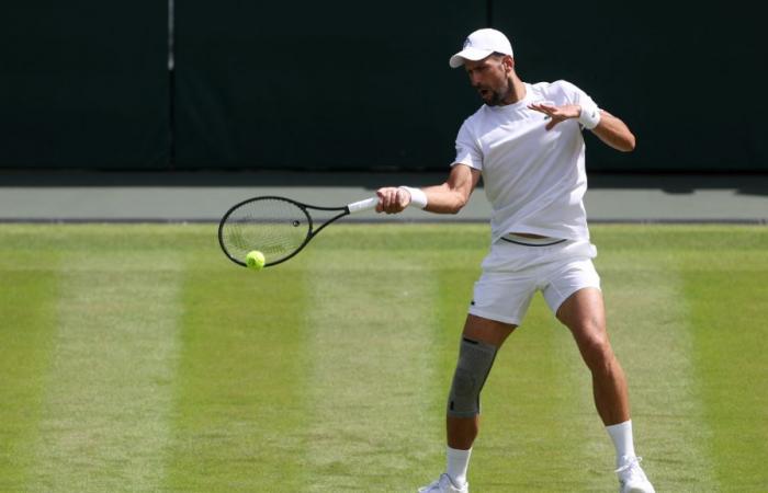 ¿Estará Novak Djokovic presente en el césped de Londres?