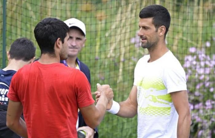 Sorteo de Wimbledon: Carlos Alcaraz y Novak Djokovic no se cruzarán ante una posible final
