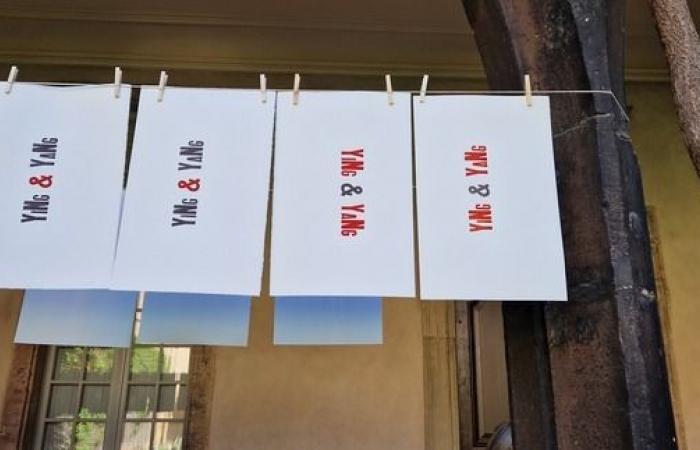 Exposición de grabados tipográficos Bibliothèque des Dominicains Colmar Sábado 21 de septiembre de 2024
