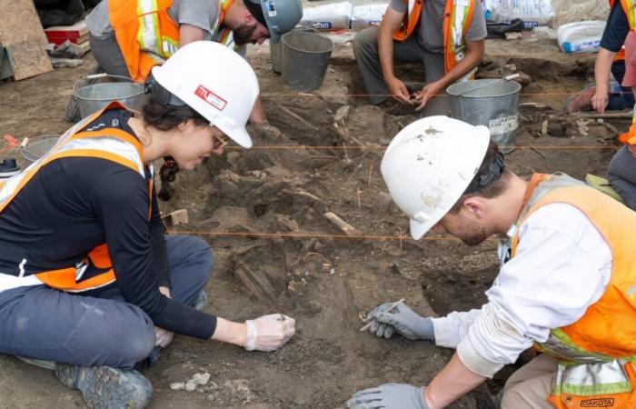 Probables huesos de soldados británicos encontrados durante excavaciones en Quebec