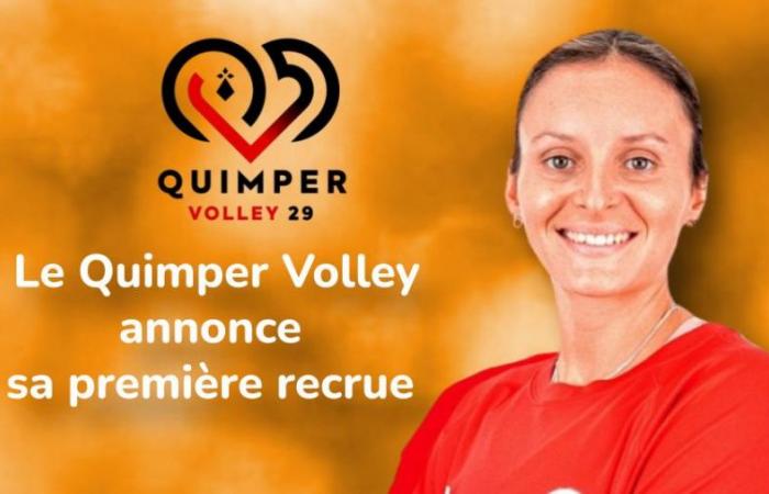Un trotamundos llega a Quimper Volley – quimper – voleibol