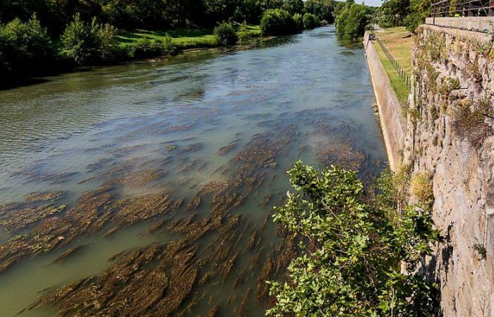 Aude: a principios de verano, la situación hidrológica se está deteriorando en el departamento