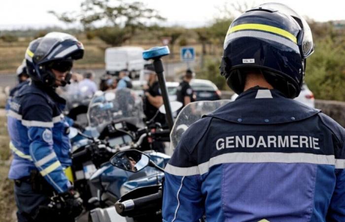 Cerca de Lyon: el pequeño control policial rápidamente se vuelve “triste y angustioso”