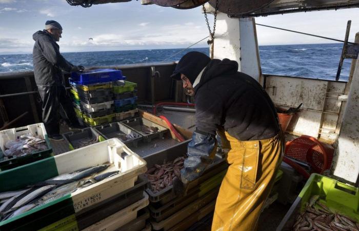 Pescadores buscan apoyo político para salvar la industria