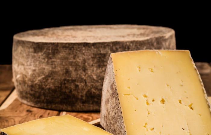 Selección Caseus: 15 quesos del Centre-du-Québec en liza