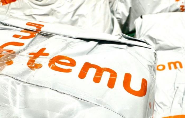 La Federación Belga de Comercio Electrónico quiere prohibir los sitios Shein y Temu: este es el motivo