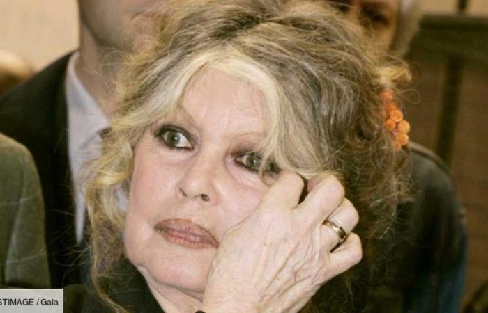 Brigitte Bardot alejada de sus bisnietos: “Los veo pocas veces…”