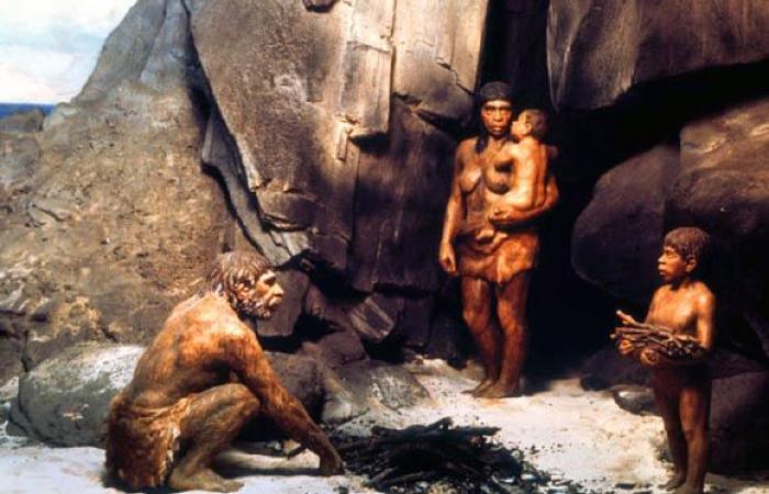 Descubrimiento de un niño neandertal con síndrome de Down