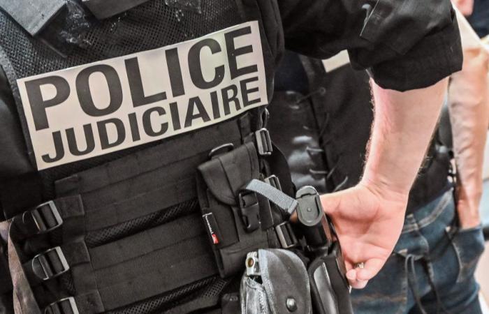 Diez personas remitidas a Niza tras una oleada de detenciones