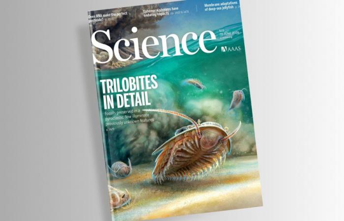 Un equipo de investigadores de la Universidad de Poitiers ocupa la portada de la revista Science – Universidad de Poitiers