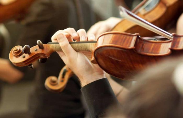 El violín curativo | El diario de Montreal