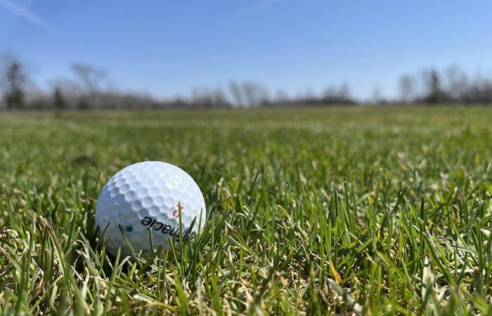 ¿Debería Gatineau, como Montreal, prohibir los pesticidas en sus campos de golf?