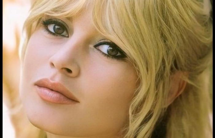 “¡Será imposible!” Brigitte Bardot revela su último deseo y seguramente no será respetado