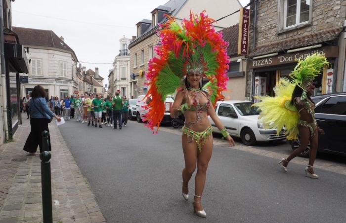 El Festival de Saint-Pierre, una feria de exposiciones que no debe perderse este fin de semana en Milly-la-Forêt