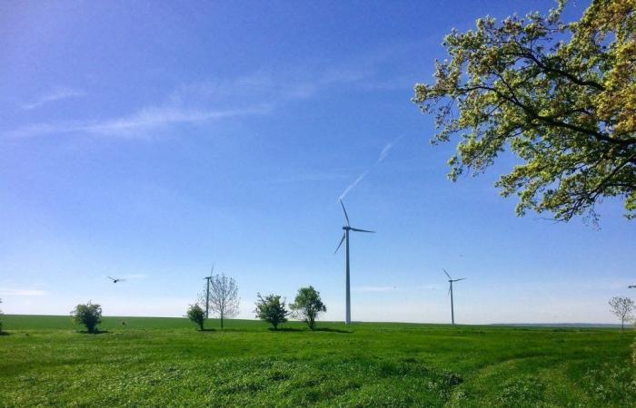 un impuesto sobre el uso del viento para las empresas operadoras