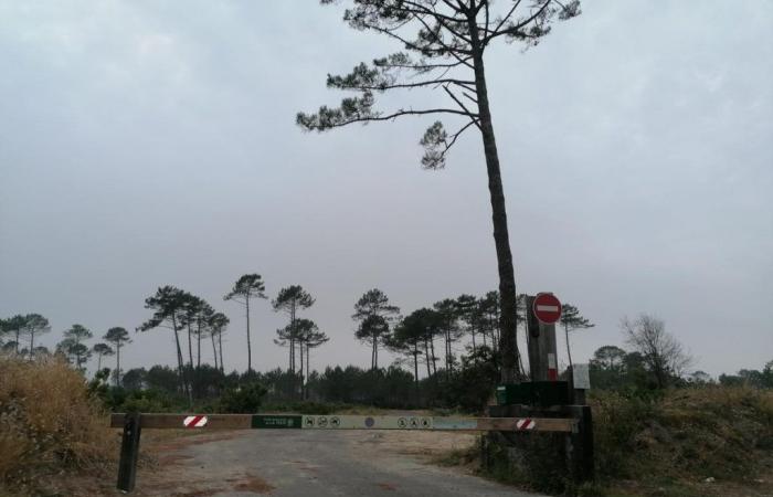 Conflicto entre La Teste-de-Buch y la Oficina Nacional Forestal por el devastado aparcamiento de Salie Sud
