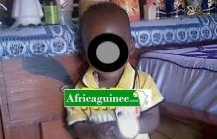 Se disipa el misterio sobre el asesinato del pequeño Thierno Ibrahima Bah – África Guinea