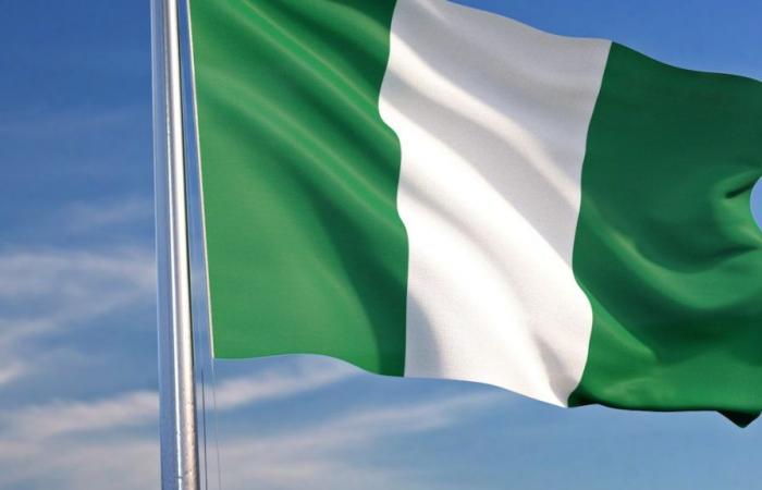 Nigeria: Un camionero “pierde el control” y mata a 14 personas