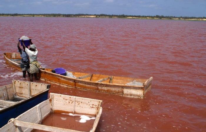 Niagues – Reclasificación como zona natural urbana: el lago Rose quiere recuperar su esplendor – Lequotidien