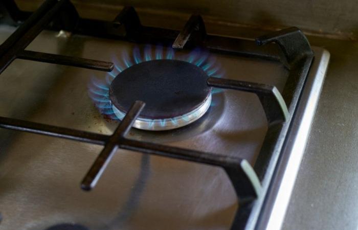 Patrice Geoffron: “Somos un país que quemó casi todo el gas y el petróleo que pudo extraer”