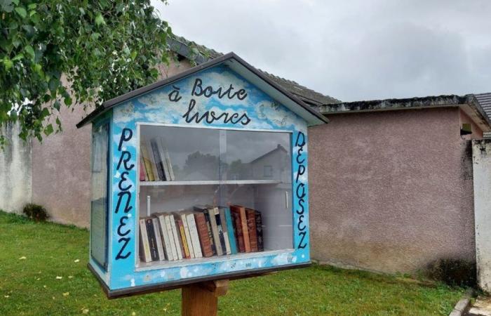 Varias cajas de libros dañadas en pocas semanas en Momères, cerca de Tarbes