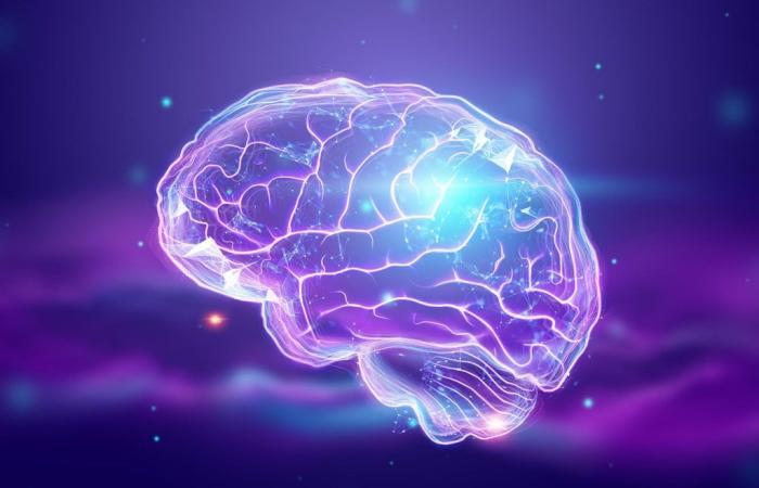 Científicos de Johns Hopkins descubren beneficios sorprendentes para la salud del cerebro