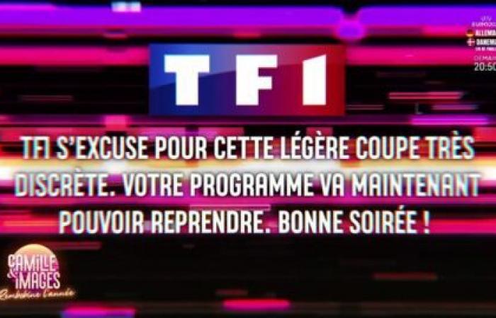 “Lástima, TF1, no TF1, te lo diré”: Camille Combal habla del choque entre Inès Reg y Natasha St-Pier en Bailando con las estrellas