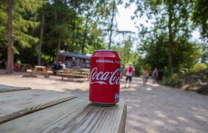 Retiran latas de Coca Cola Cherry por presencia de “químico peligroso”