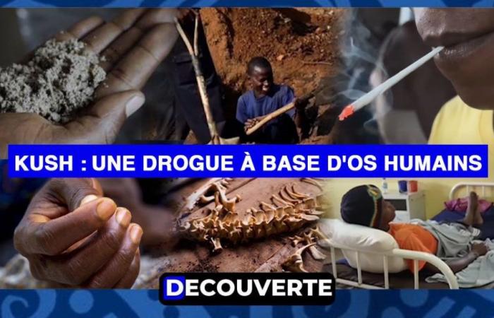 DESCUBRIMIENTO (N°6) – Kush: Una droga elaborada a partir de huesos humanos de Sierra Leona, extiende su influencia a Senegal